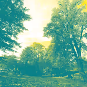 atelier-la-nature-de-la-lumiere.png